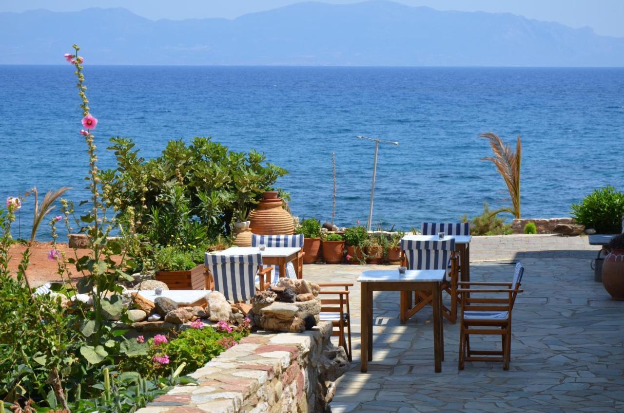 Pelagia Aphrodite Hotel Agia Pelagia  Faciliteter billede